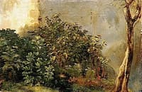 Study of Plants