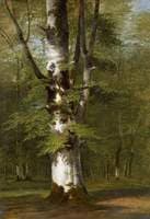 Study of a Tree
