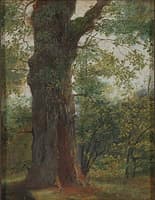 A Tree