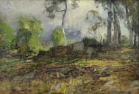 Birches