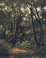 The Forest