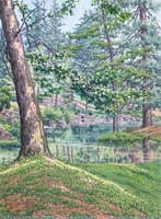 A Small Pond