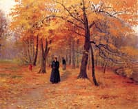 A Forest Walk in Autumn