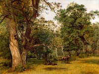 Deer at the Edge of a Wood