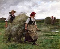 The Hay Harvest