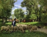 A Shepherd and His Flock