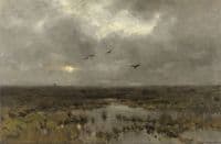 The Marsh