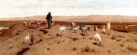 Desert Pasture