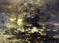 Waterlilies on a Tranquil Pond