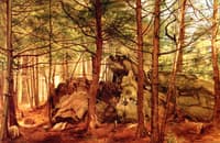 Study in a Hemlock Wood