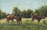 The Pasture