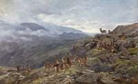 Deer in Mountains