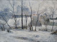 Garden under Snow I