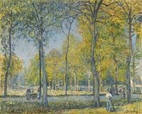 The Park