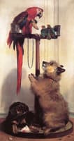 Macaw, Love Birds, Terrier and spaniel Puppies, Belonging to Her Majesty