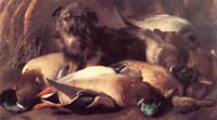 Decoyman's Dog and Duck