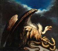 Vulture and Snake