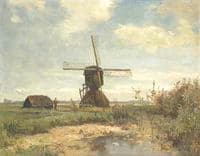Sunny Day