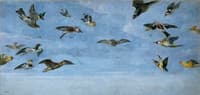 An Owl and Other Birds