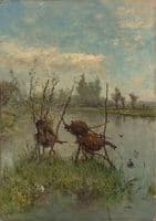 Duck Nests