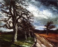 Trees near a Road