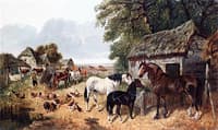 A Busy Farmyard