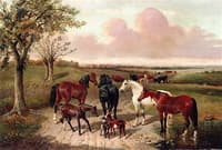 The Path to Pasture