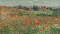 Poppy Field