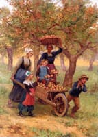 Harvesting Apples