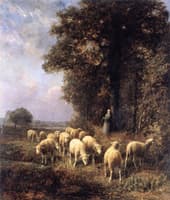 The Edge of the Woods