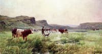 Cows in the Lyonnaise Region