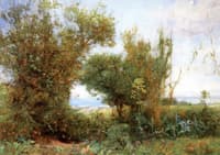 The Grass of the Field