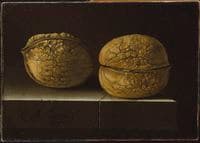 Two Walnuts