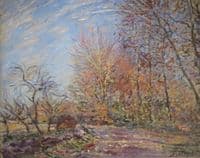 Edge of the Fontainbleu Forest
