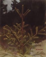 A Fir Tree