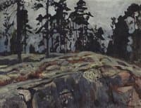 Finland Woods