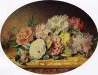 Spring Flowers on a Ledge