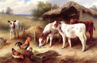 Calves, a Cockerel and Hens beside a Barn
