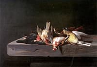 A Gold Finch, a Common Kingfisher and a Hooded Siskin, all on a Stone Ledge