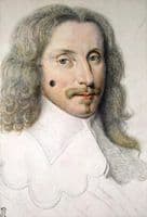 Portrait of a Young Man