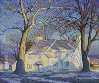 Winter Sunlight