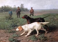 Staande Honden: Two Setters Picking a Scent Trail