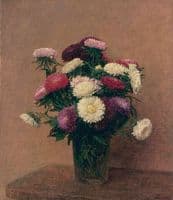 Asters