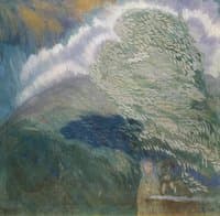 The Storm