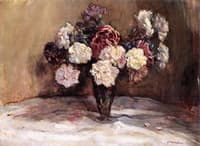 Carnations