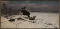 Elk Fighting with Wolves