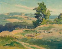 Distant Hills