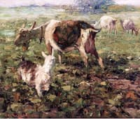 Goats in the Field