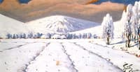 Winter Landscape