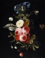 Still-Life